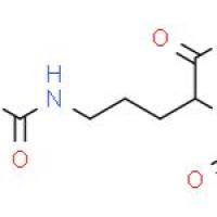 N-乙酰-L-瓜氨酸