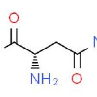 L-天冬酰胺