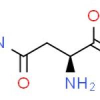 D-天冬酰胺一水物