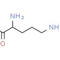 D-鸟氨酸盐酸盐