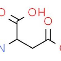 D-天门冬氨酸