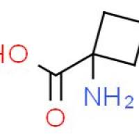 1-氨基环丁甲酸