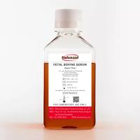 特级胎牛血清