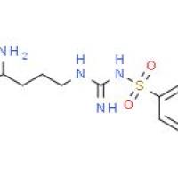 N'-对甲苯磺酰基-L-精氨酸