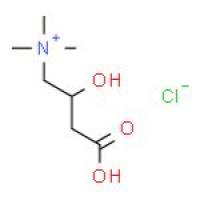 混旋肉碱盐酸盐