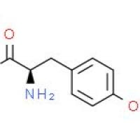 D-酪氨酸甲酯盐酸盐