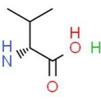 N-甲基-D-缬氨酸盐酸盐