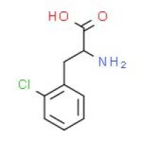 D-2-氯苯丙氨酸
