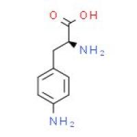 4-氨基-L-苯丙氨酸