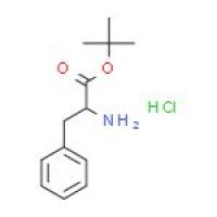 L-苯丙氨酸叔丁酯盐酸盐