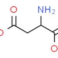 L-天冬氨酸-4-甲酯