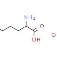L-鸟氨酸醋酸盐