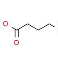 4-(甲基氨基)丁酸盐酸盐甲基