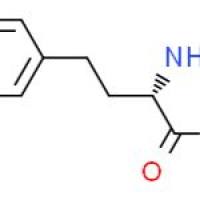 L-高苯丙氨酸