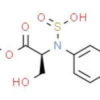 D-对甲砜基苯丝氨酸乙酯