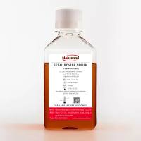 优级胎牛血清