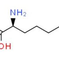 (2S)-6-烯-庚氨酸