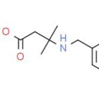 3-(苄基氨基)-3-甲基丁酸乙酯