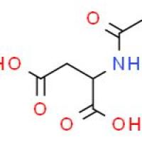 N-乙酰基-L-天冬氨酸