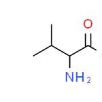 L-缬氨酸甲酯盐酸盐