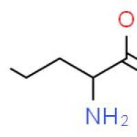 (S)-2-氨基-4-羟基丁酸
