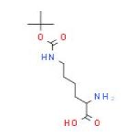 N6-叔丁氧羰基-D-赖氨酸