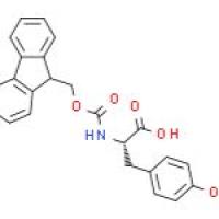 Fmoc-L-酪氨酸