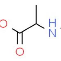 N-甲基-D-丙氨酸