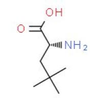 (R)-3-氨基-4,4-二甲基戊酸