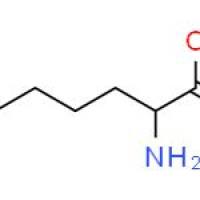 (R)-2-氨基庚酸