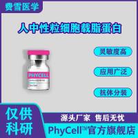 100μg,人中性粒细胞载脂蛋白 , Human neutrophil lipocalin,HNL抗原