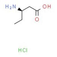 (R)-3-氨基戊酸盐酸盐