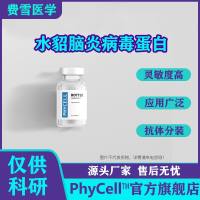 水貂脑炎病毒蛋白抗原,水貂脑炎蛋白