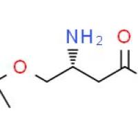 (R)-3-氨基-4-(叔丁氧基)丁酸