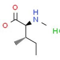 N-甲基-L-异亮氨酸甲酯盐酸盐