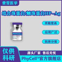 触珠蛋白，结合珠蛋白， HPT-Ag，