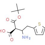 (S)-3-((叔丁氧基羰基)氨基)-4-(噻吩-2-基)丁酸