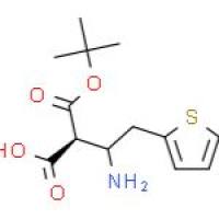 (S)-3-((叔丁氧基羰基)氨基)-4-(噻吩-2-基)丁酸