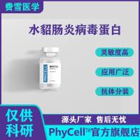 水貂肠炎病毒VP2蛋白抗原