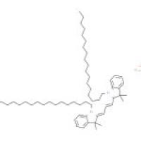 1,1'-双十八烷基-3,3,3',3'-四甲基吲哚菁高氯酸盐