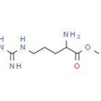 N'-硝基-L-精氨酸甲酯盐酸盐