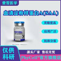 血清淀粉样蛋白A(SAA) 抗原， SAA -Ag，SAA抗原