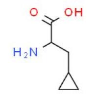 L-环丙基丙氨酸