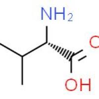 缬氨酸