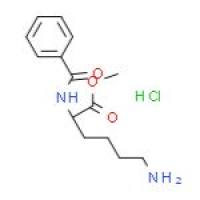 N-苯甲酰-L-赖氨酸甲酯盐酸盐