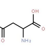 L-天冬酰胺一水物
