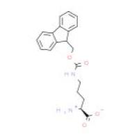 N^d-Fmoc-L-鸟氨酸