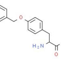 O-苄基-L-酪氨酸
