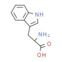 N-BOC-4-氧代-D-脯氨酸甲酯