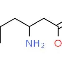 (S)-3-氨基-5-甲基己酸
